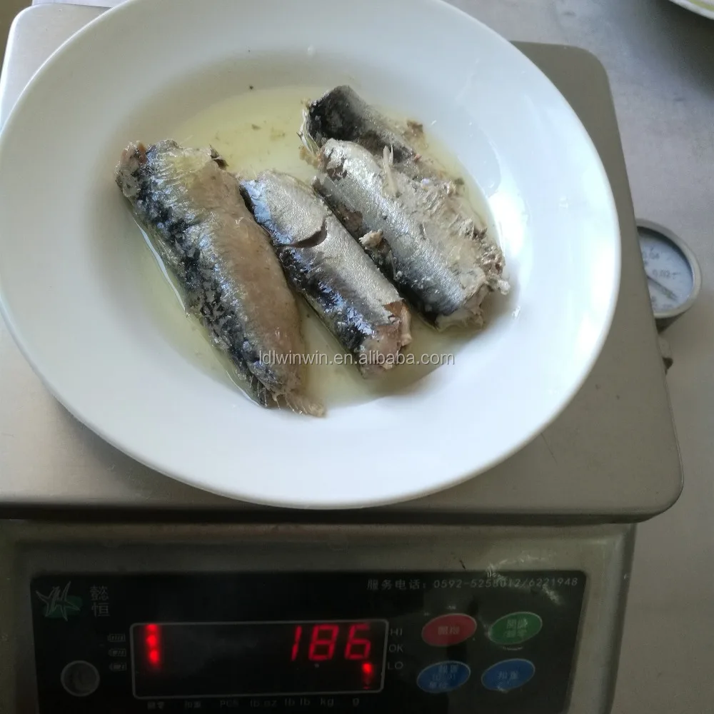 Canned Sardine in Oil 125g from Morroco
