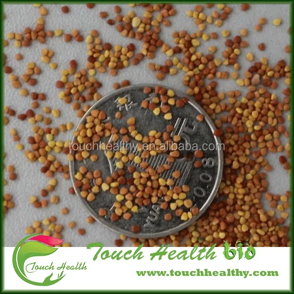 
2021 white clover seeds/Trifolium repens L seeds/forage grass seeds 