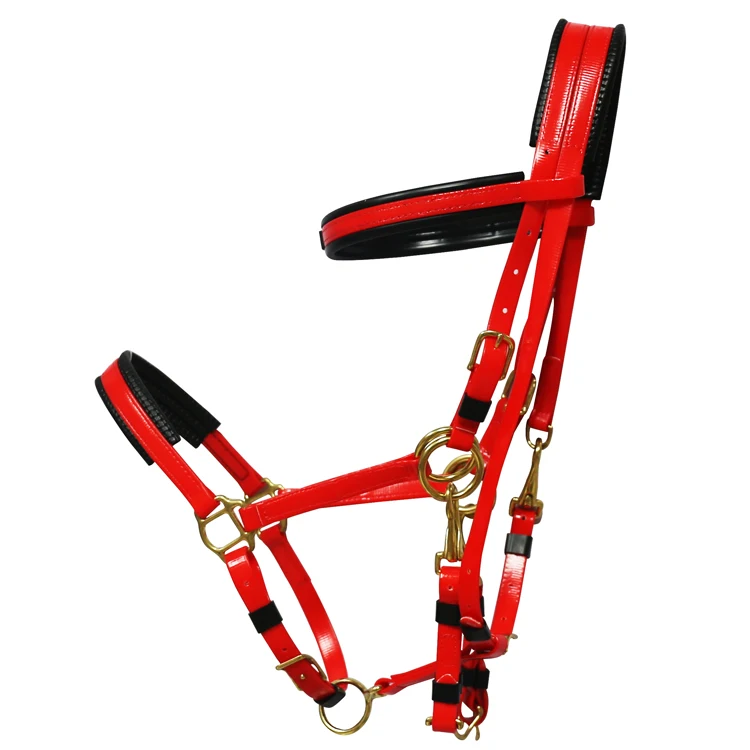 pvc endurance horse bridle for racing