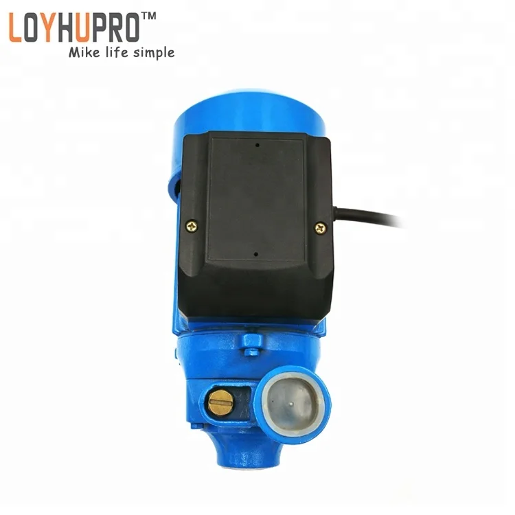 Household QB60 0.5HP 0.37KW clean water micro electric peripheral water pump