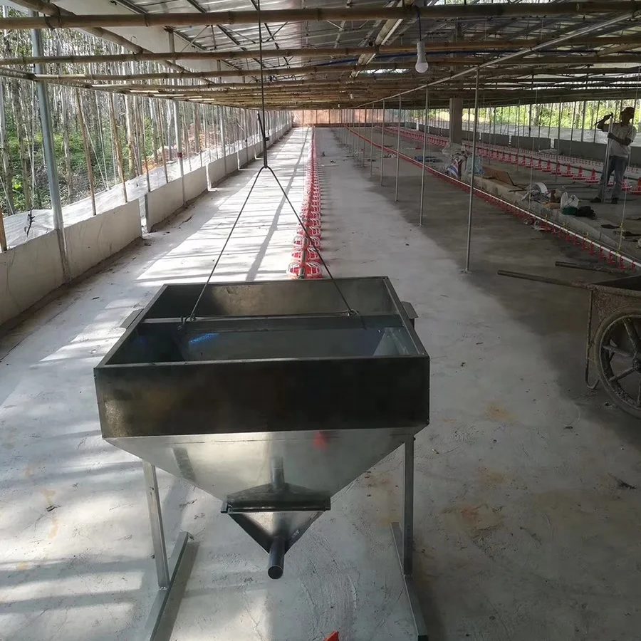 
Automatic Broiler floor feeding drinking system 