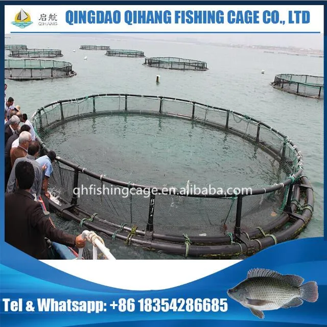 Circular cages for off-shore fish growing, fish farming in the sea