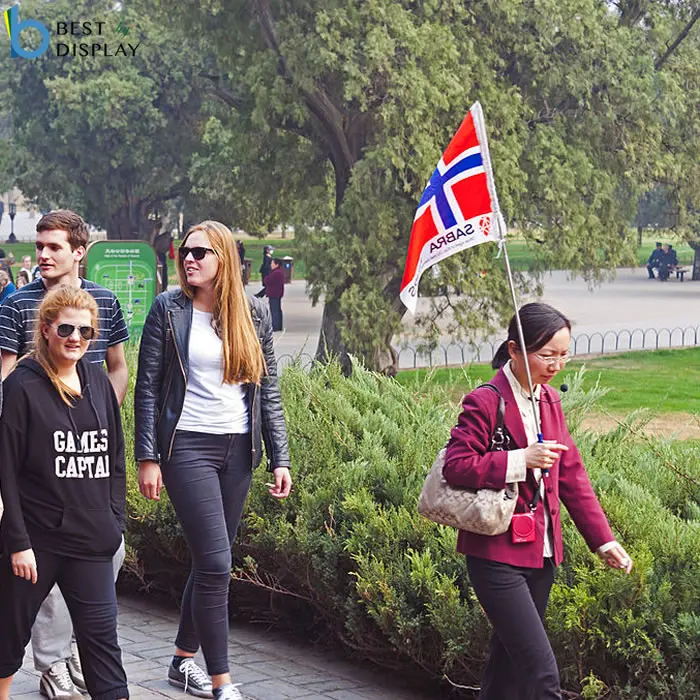 China Flag Banners maker supply wholesale tour guide flag