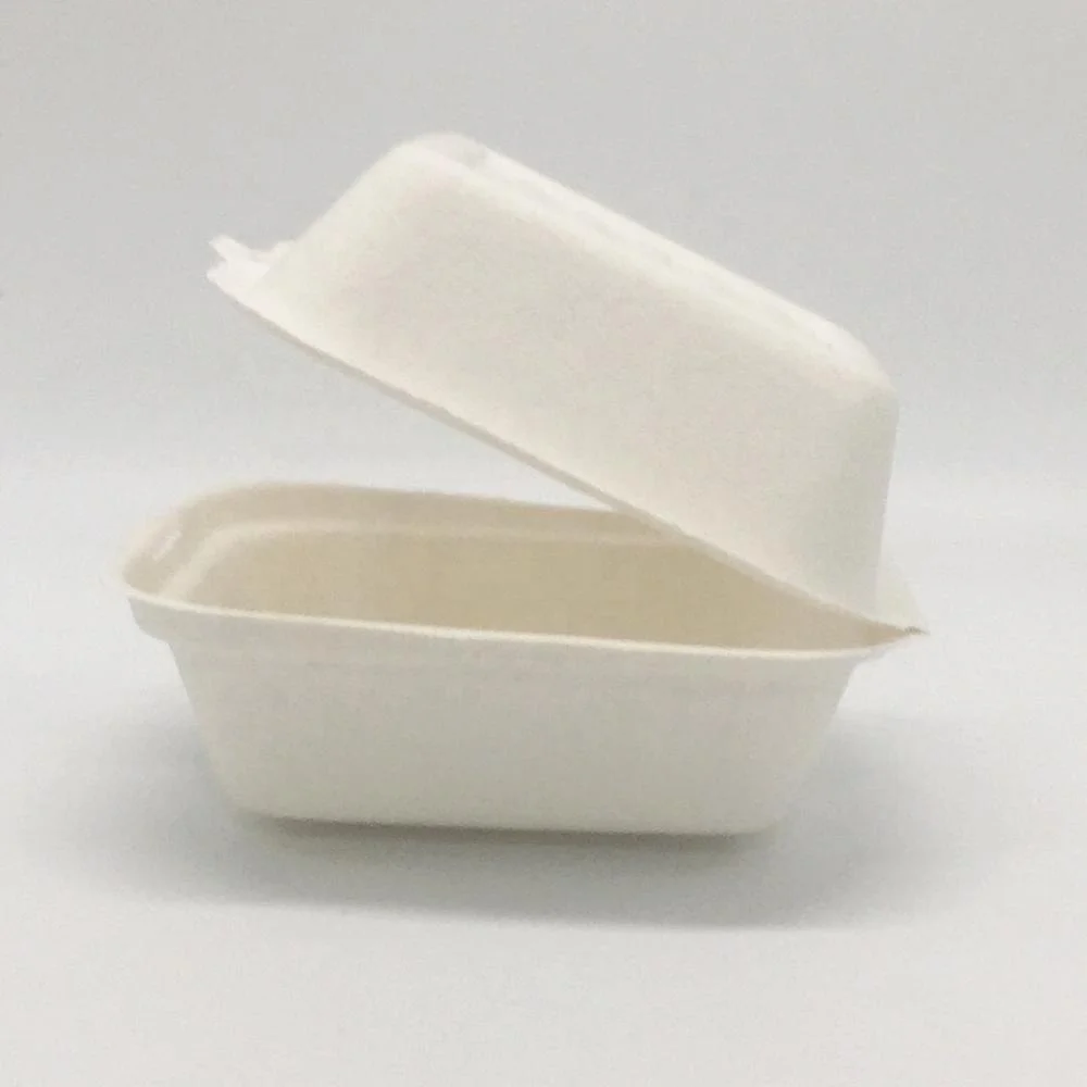 Wholesale disposable food packaging bagasse sandwich takeout box biodegradable container