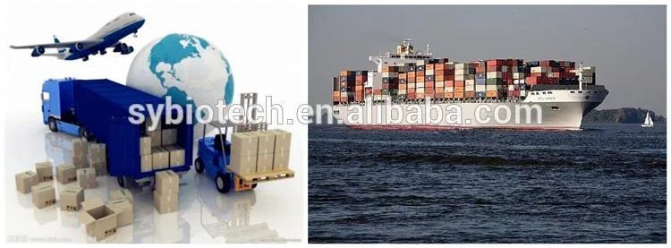 
TOP SALE! Rosehip Fruit Extract Powder 5:1 10:1 20:1 