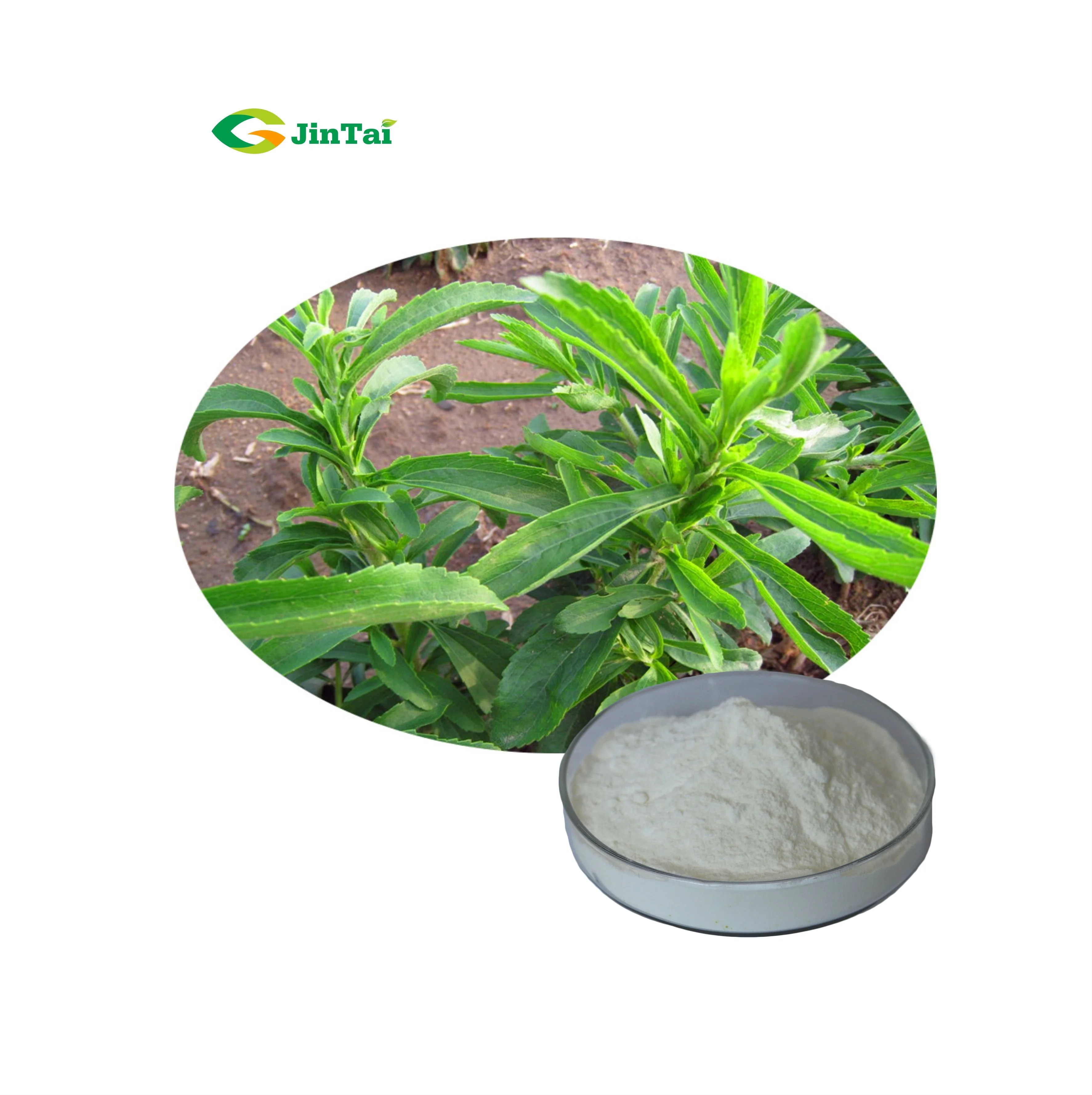 
100% Pure Stevia Extract Powder Rebaudioside A Stevioside RA 98% 