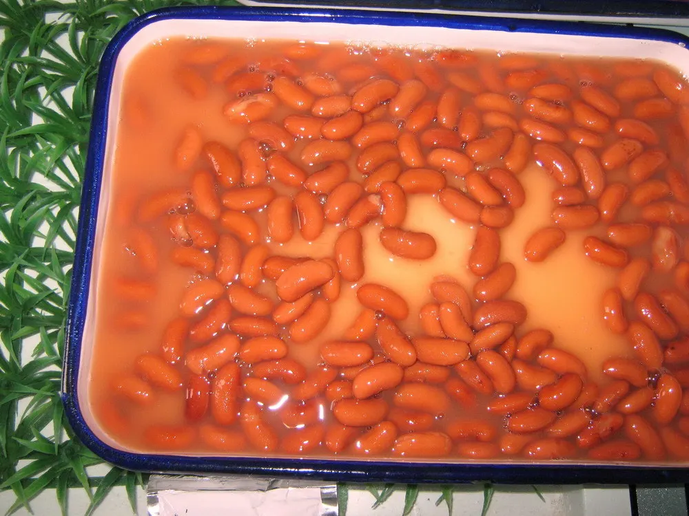 types of canned pinto beans 400g in brine/in tomato sauce