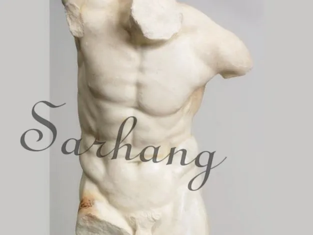 Hand Carved Marble Nude Male Torso Bust Sculpture