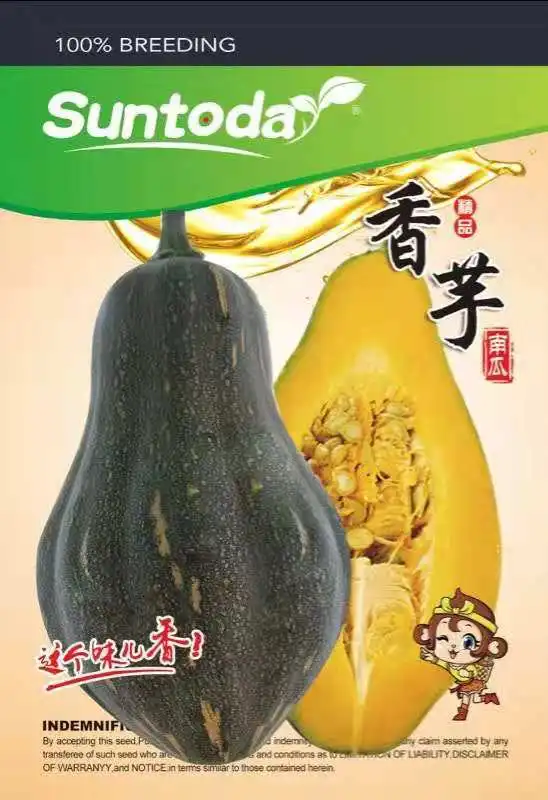 
Thailand kernels favor pumpkin seeds hybrid F1 