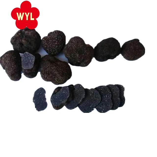 best qualiety IQF frozen summer truffle