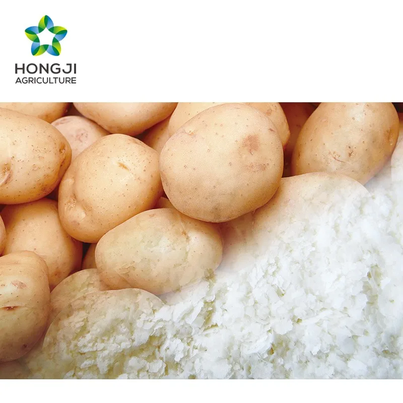 Hongji Agriculture mashed potato powder for potato chips potato flakes