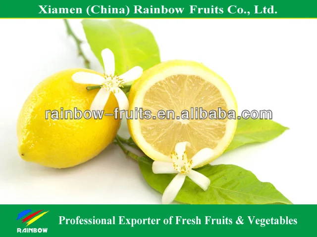 
price of lemon fruit 