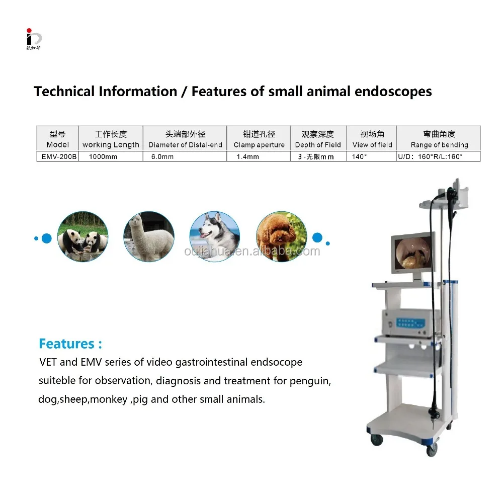 OJH flexible video Veterinary endoscope ,veterinary gastrointestinal endoscope