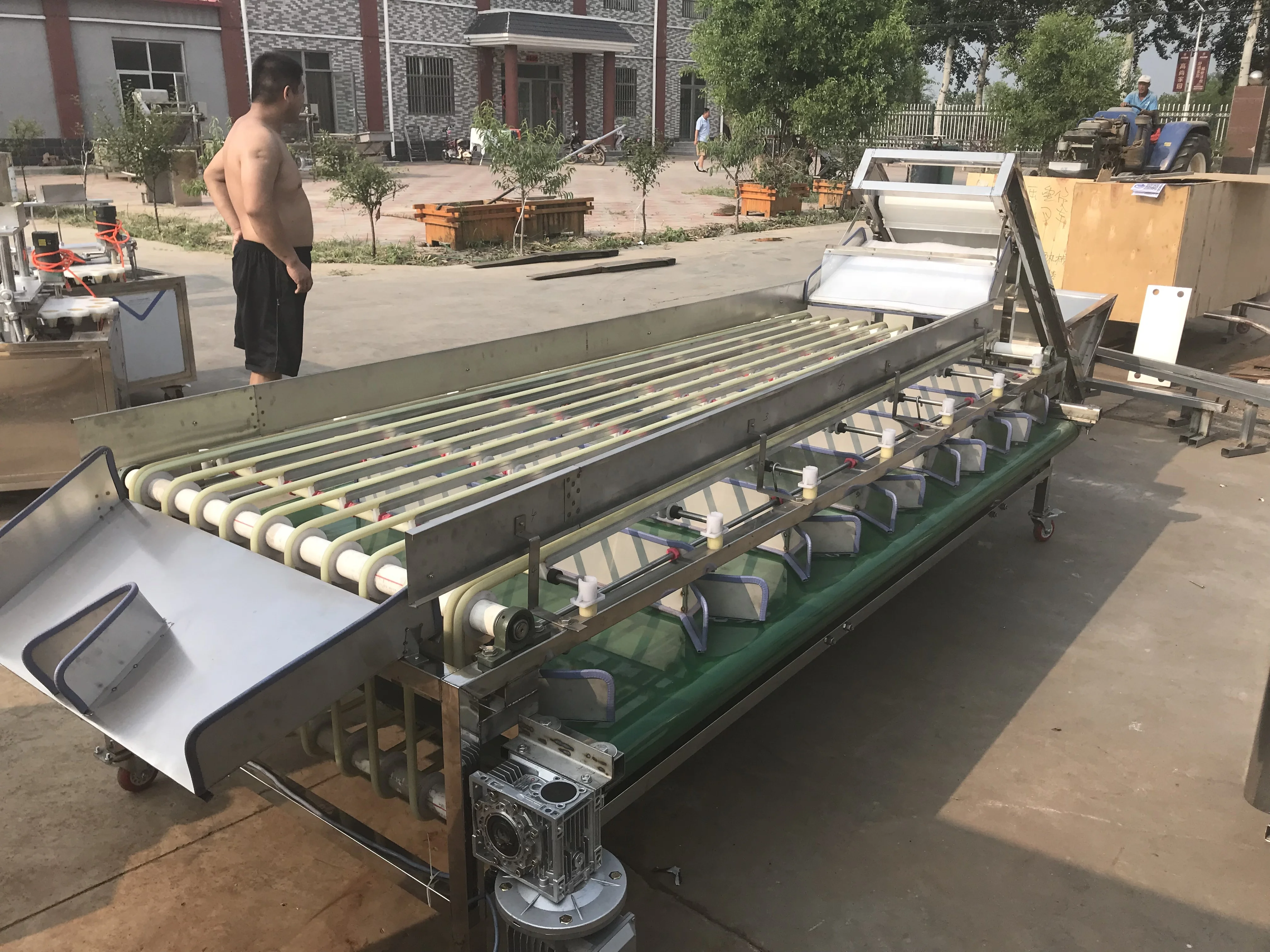 
Automatic dates sorting machine auto medjool date size grading equipment favorite price on sale 