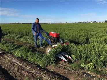 mingyue factory price  agricultural machinery  binder reaper