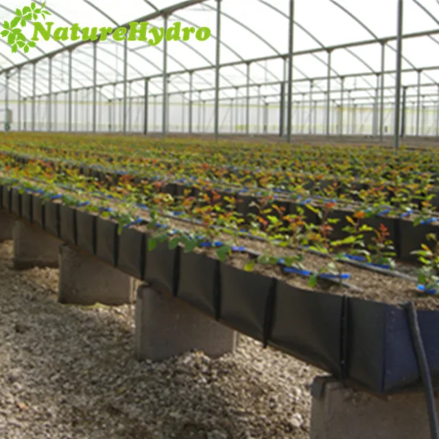 Hydroponics Greenhouse agricultural greenhouse Growing Trough PP rolls