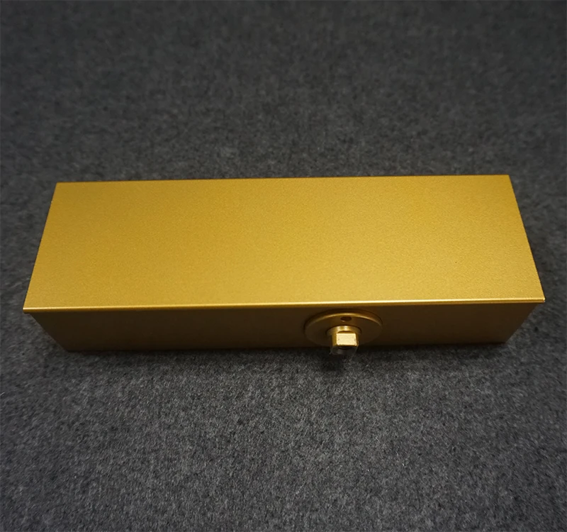 High Quality Hydraulic Fireproof Two Way Door Closer Gold Finished Closing Doors Machine
