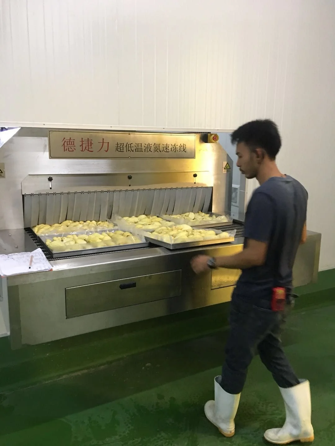 Промышленный непрерывный туннель DJL IQF, быстрая морозильная камера с высокой скоростью, морозильник с жидким азотом, дурийский туннельный морозильник