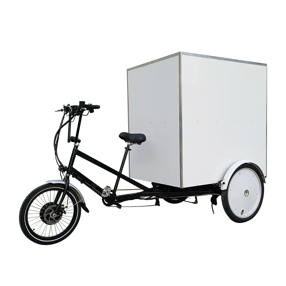 No Tariff MOTRIKE Heavy-duty Cargo Transport 3 Wheel Pedal Assist 500watt Electric Truck Cargo Trike For Sale