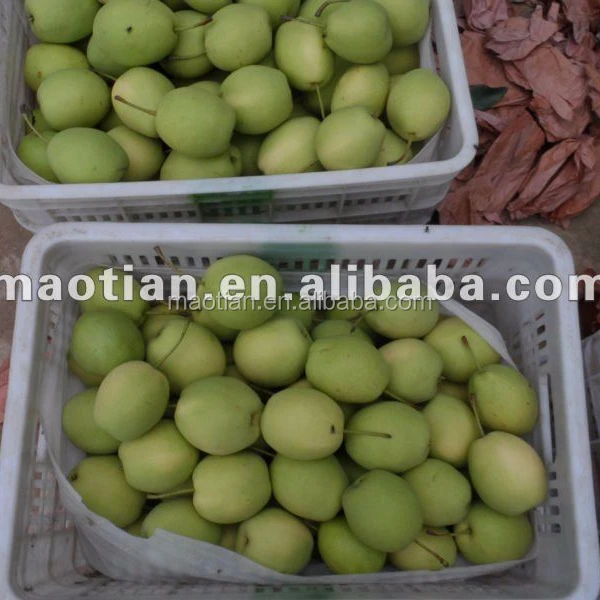 Груши Шаньдун