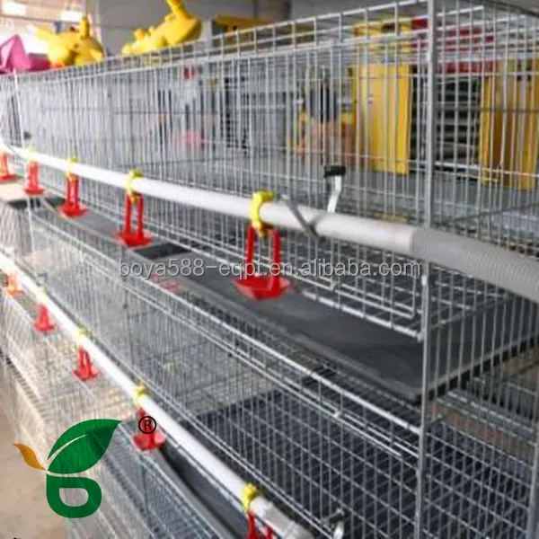 
 Дизайн навес для бройлеров для куриной фермы  