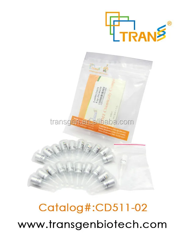 
DMT Chemically Competent Cell 