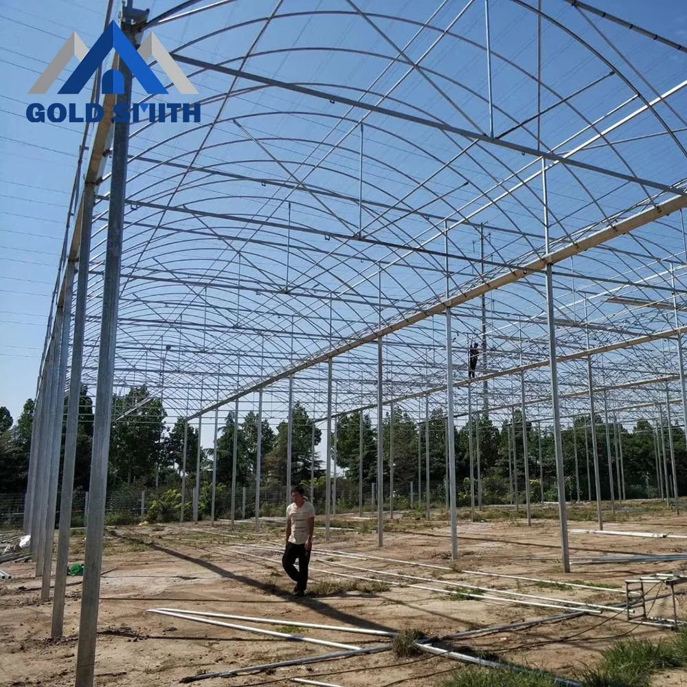 Multi Span Agricultural Film Greenhouse Using Hot Galvanized Steel Structure Frame