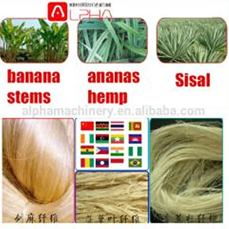 Простой в обращении рами декортикация Обрабатывающее Оборудование сизальских канатов ананаса Волокно Льняное волокно Decorticator обстрел