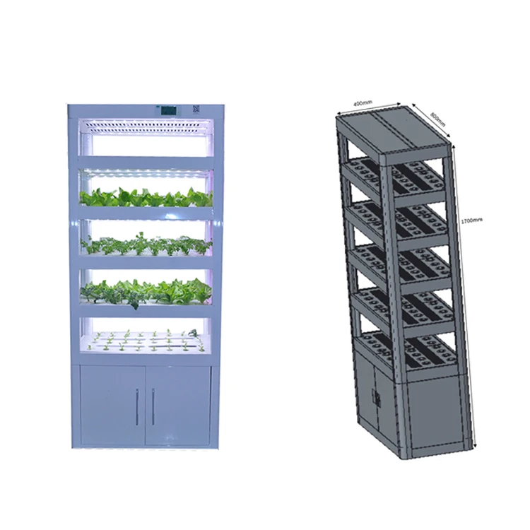 
Urban Farm Indoor Smart Hydroponic Greenhouse Vertical Microgreen Growing System 