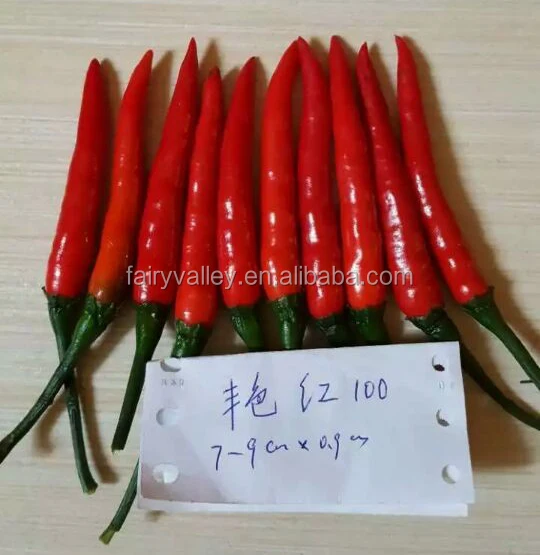 Гибридные F1 семена красного перца, семена Чили для продажи-яркий красный 100
