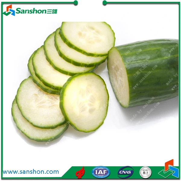 China Cucumber Slicer Cutter Cutting Machine