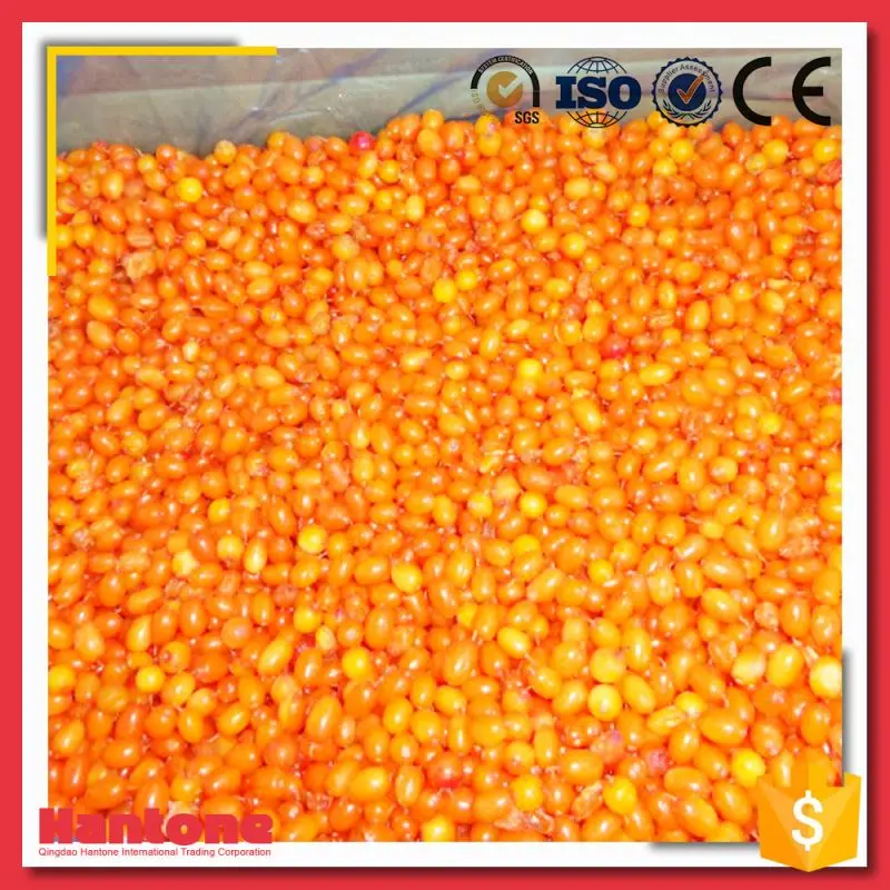 
Frozen Sea Buckthorn Berries Price For Sale 