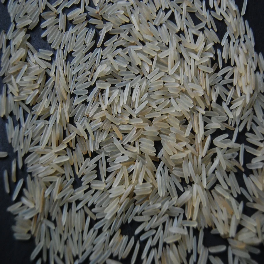 world classs quality supplier of 1509 sella basamti rice