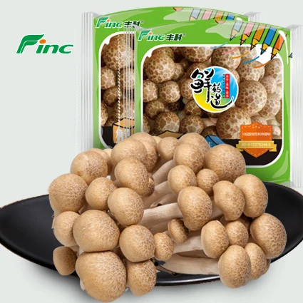 
Fresh whole mushroom planting in plastic bottle 