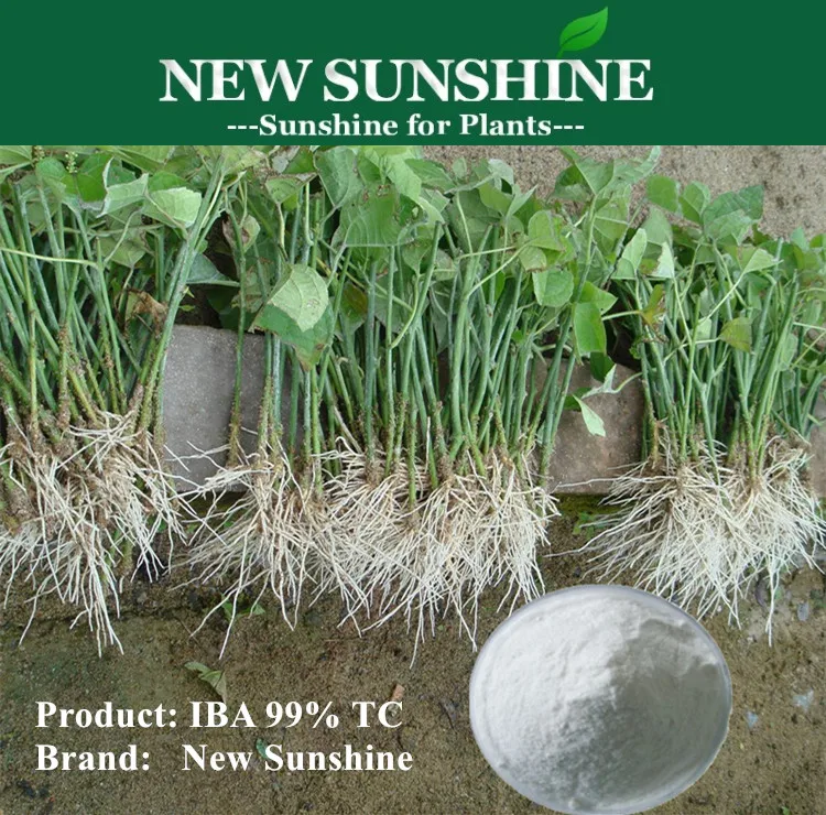 Plant Growth Regulator K IBA Rooting Hormone For Plants