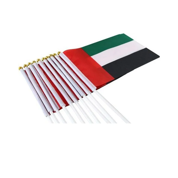 
12 x 18 inch 75D Polyester National Hand Held Custom Size Flags with Plastic Pole 