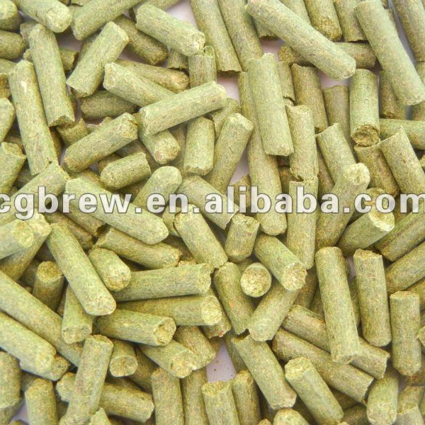 draft beer raw material