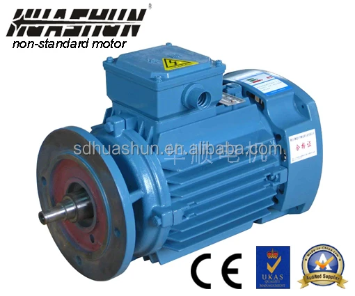 YS Series 3 Phase AC Induction Motor