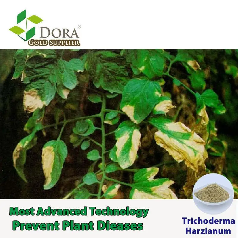 Dora RootGuard - Trichoderma harzianum-для улучшения почвы-быстрая доза для снятия стресса планшетов