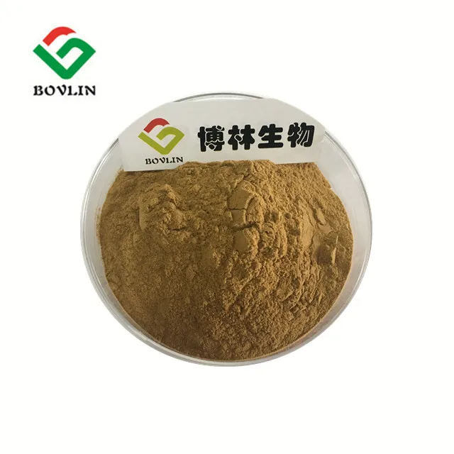 
Competitive Price Kacip Fatimah Leaf Extract Labisia Pumila for Female Health 