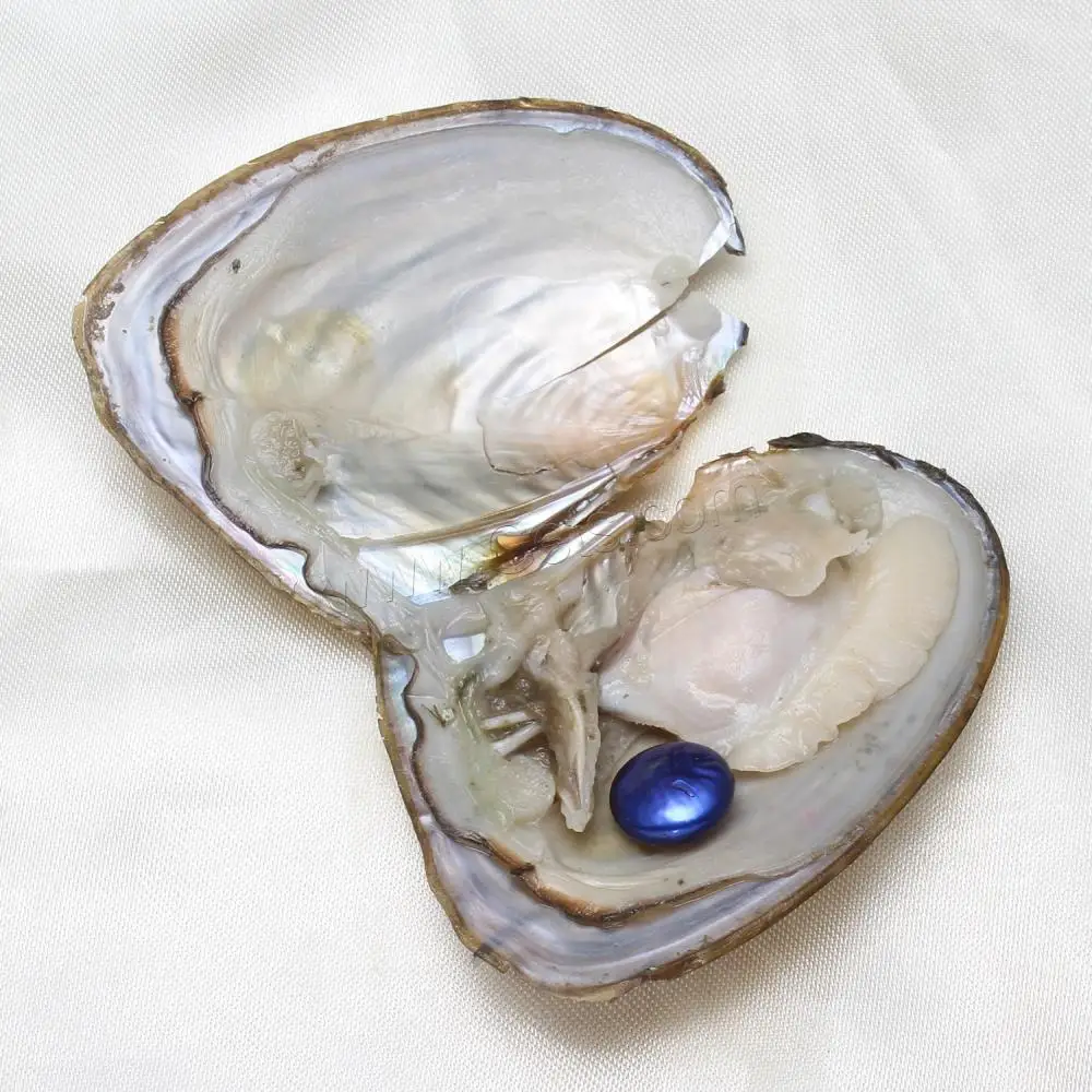 hot selling high quality freshwater cultured love wish pearl oysters with colored pearls 10-11mm