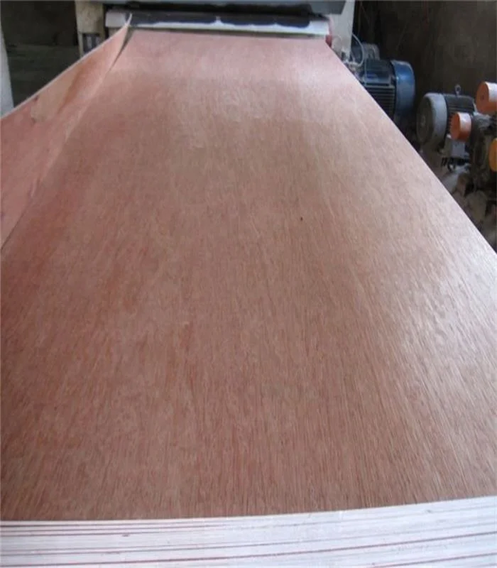Packing plywood 5mm 8mm 10mm 12mm plywood price