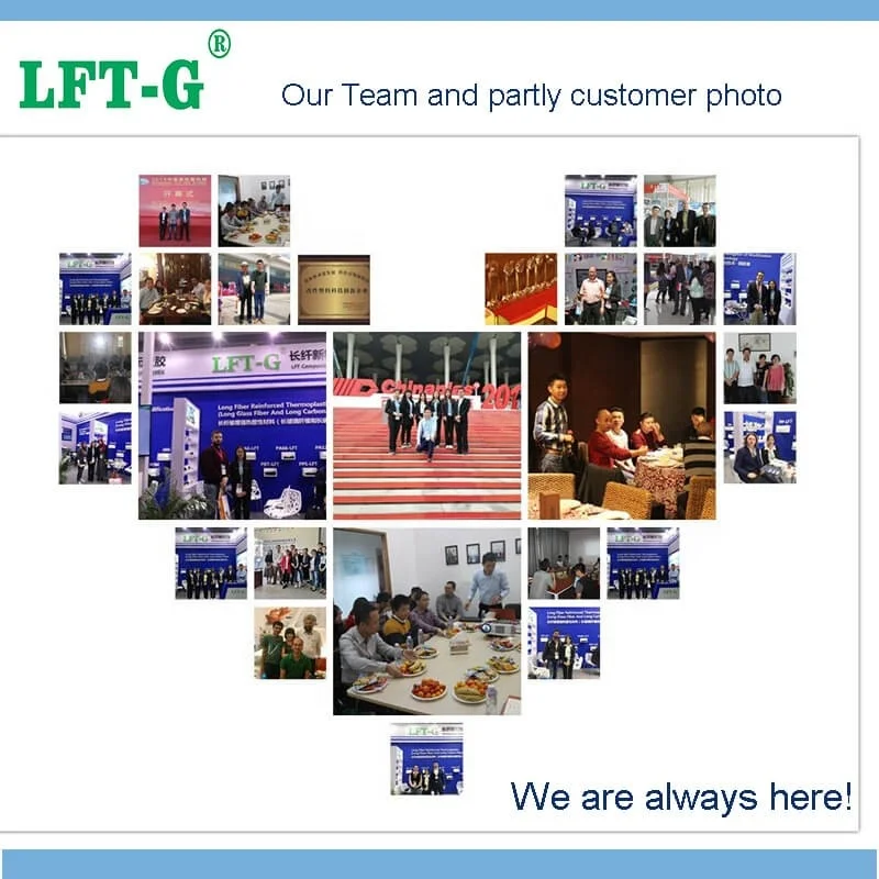 Nylon Pa66 Pa6 -CF30 LCF 30 Material Nylon 6 Natural Pa6 Cf