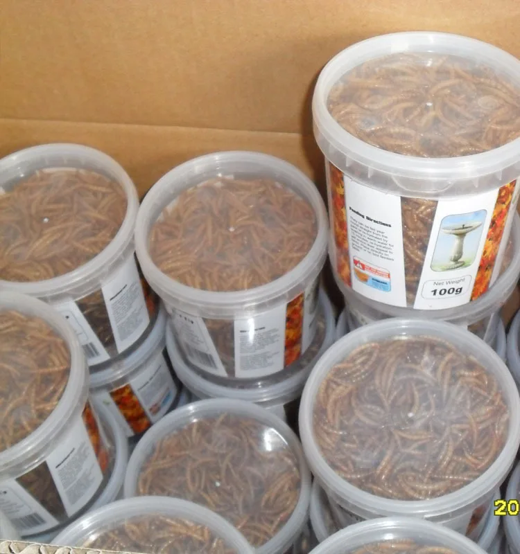 
Rich Nutrition Poultry Food Mealworms Dried for Hen Feed 