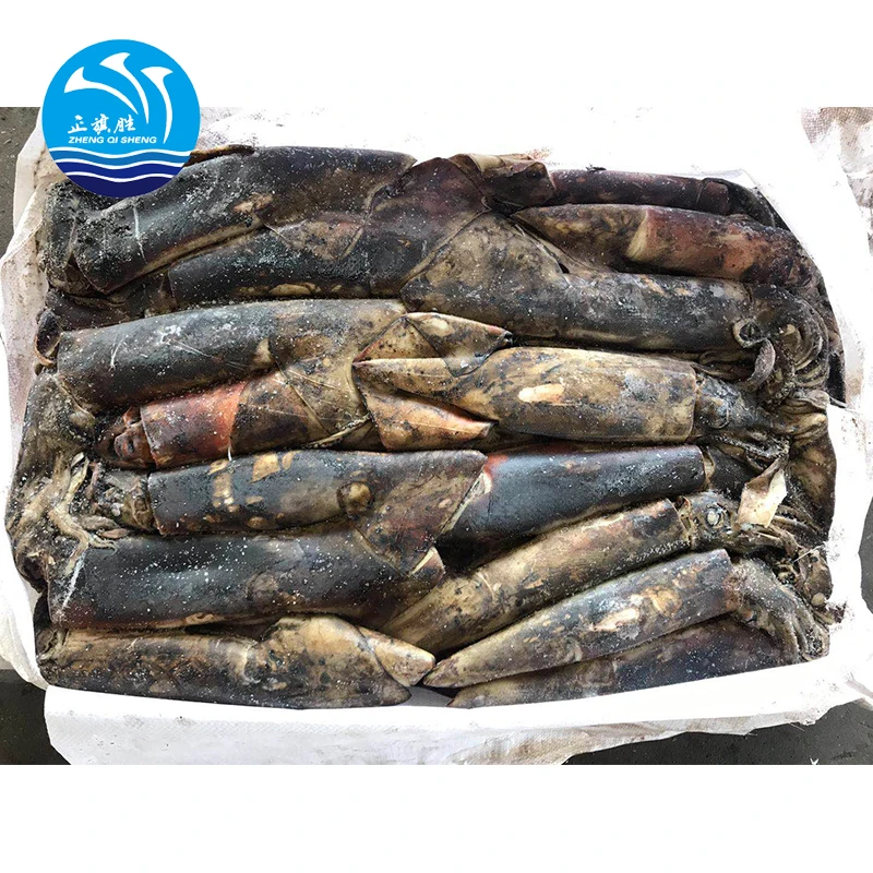 Frozen Equatorial squid within 500gr