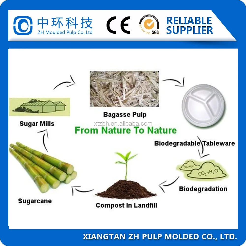 
high quality biodegradable sugarcane bagasse pulp tableware plate food dish tray making machine line 