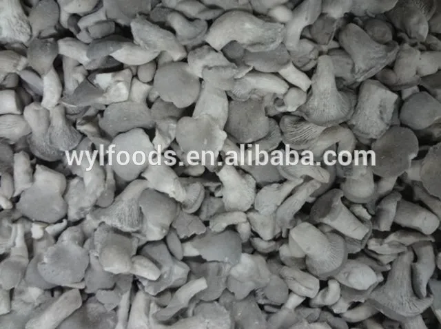 
New Crop IQF Mushroom Frozen Baby oyster with High Quality 