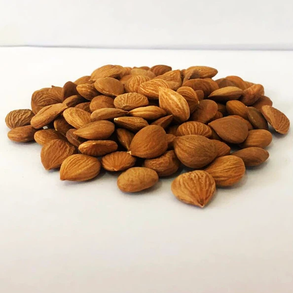 
Fresh Bitter Raw Apricot Seeds 100% Natural 