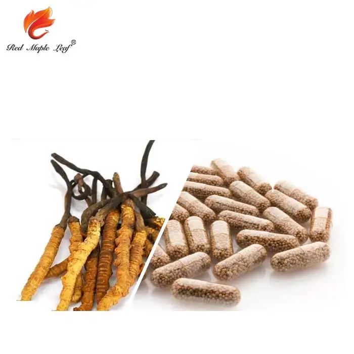 Natural Cordyceps Sinensis Extract Capsules, Softgels, supplement - Manufacturer, Price, OEM, Private Label