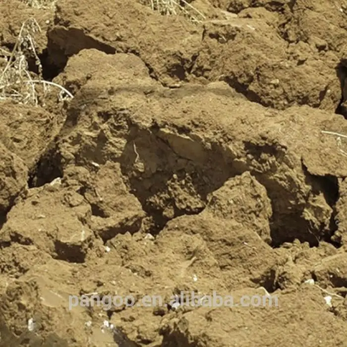 Bio fertilizer bacillus mucilaginosus bio fertilizer for agriculture